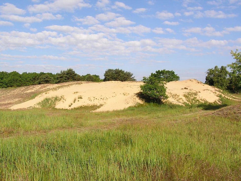 J. Barth - Altwarp inland dune