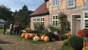 Pumpkin festival in Alt Guthendorf