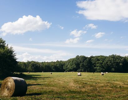 Feld mit Strohballen Feldlandschaft, blauer Himmel, im Hintergrund ist Wald. Auf dem Feld liegen mehrere Strohballen