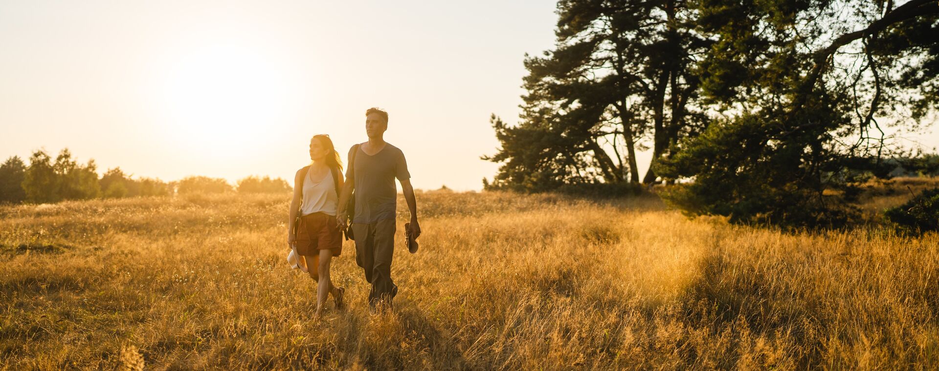 Couple walks over a meadow with a high grass in the sunset.