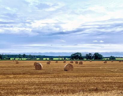 Feld Blick auf ein Feld mit Strohballen