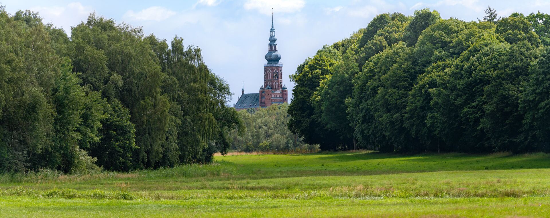 Blick über Wiesen zwischen zwei Baumgruppen auf den Greifswalder Dom St. Nikolai