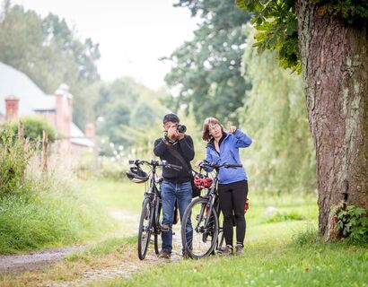 Two people by bike stand on a tree and the man photographs something while the woman points to something