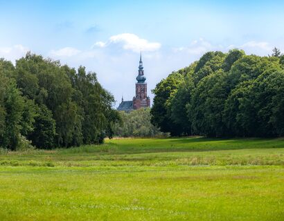 Blick über Wiesen zwischen zwei Baumgruppen auf den Greifswalder Dom St. Nikolai