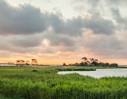 Sunset over the water and reeds