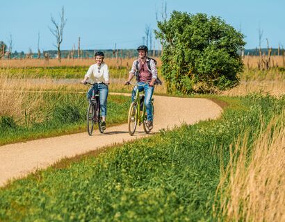 zwei Fahrradfahrer gut erkennbar auf einem Fahrradweg mitten in der Natur, im Hintergrund lässt sich ein Flussvermuten und es sind tote Bäume erkennbar