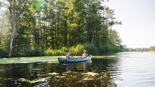 Mit dem Kanu auf der Peene entlang paddeln Eine Frau und ein Mann sitzen in einem Kanu und paddeln entlang der Peene