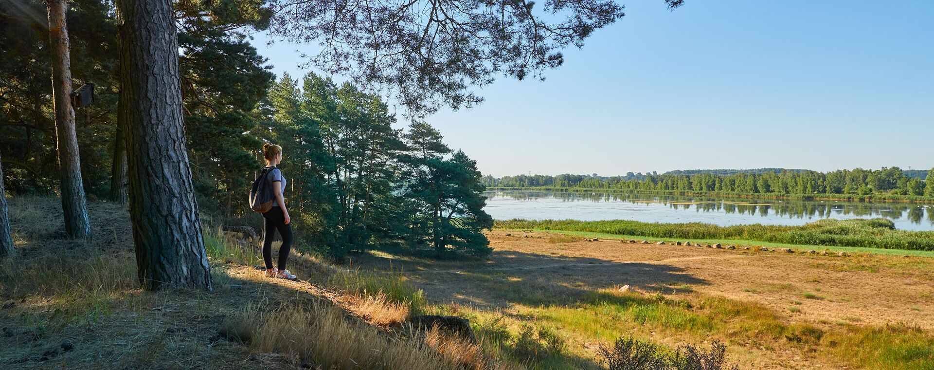 Woman stands on the edge of the forest and looks at river in the distance.