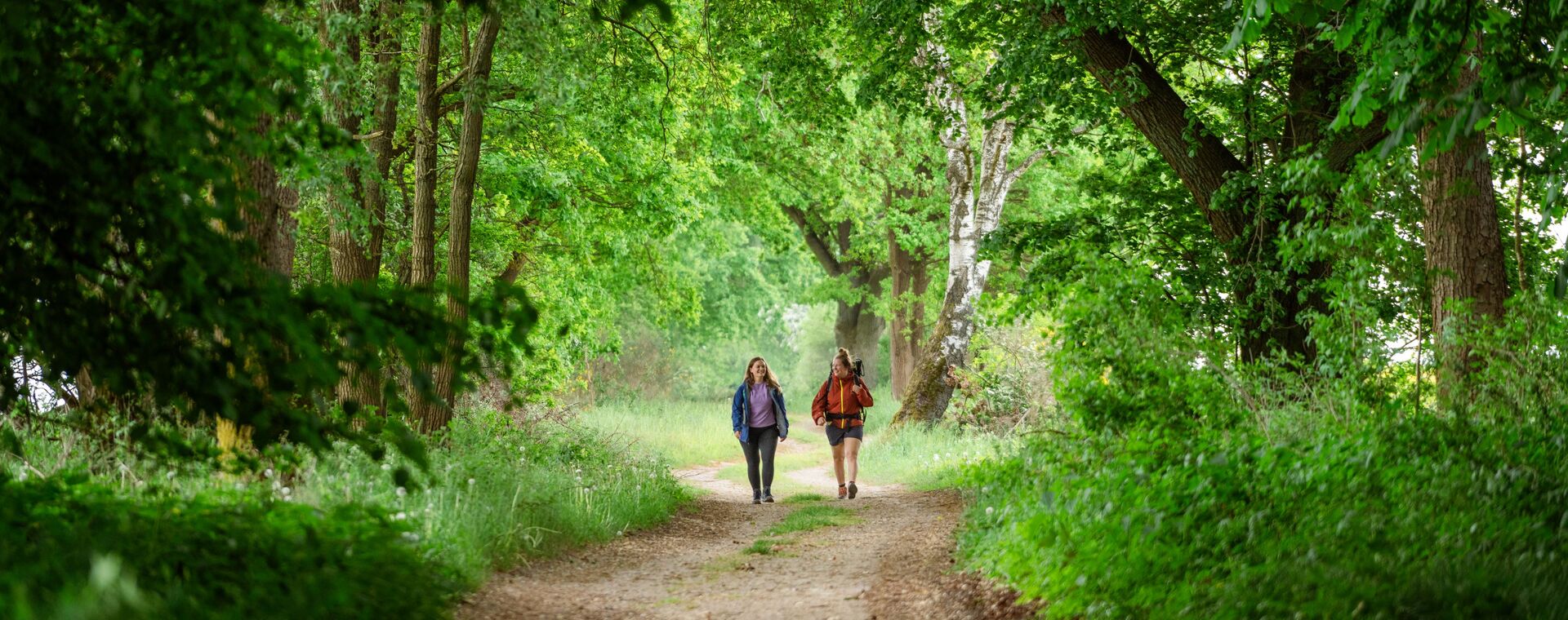 Zwei Personen wandern auf einem Waldweg entlang. Links und rechts überall Bäume