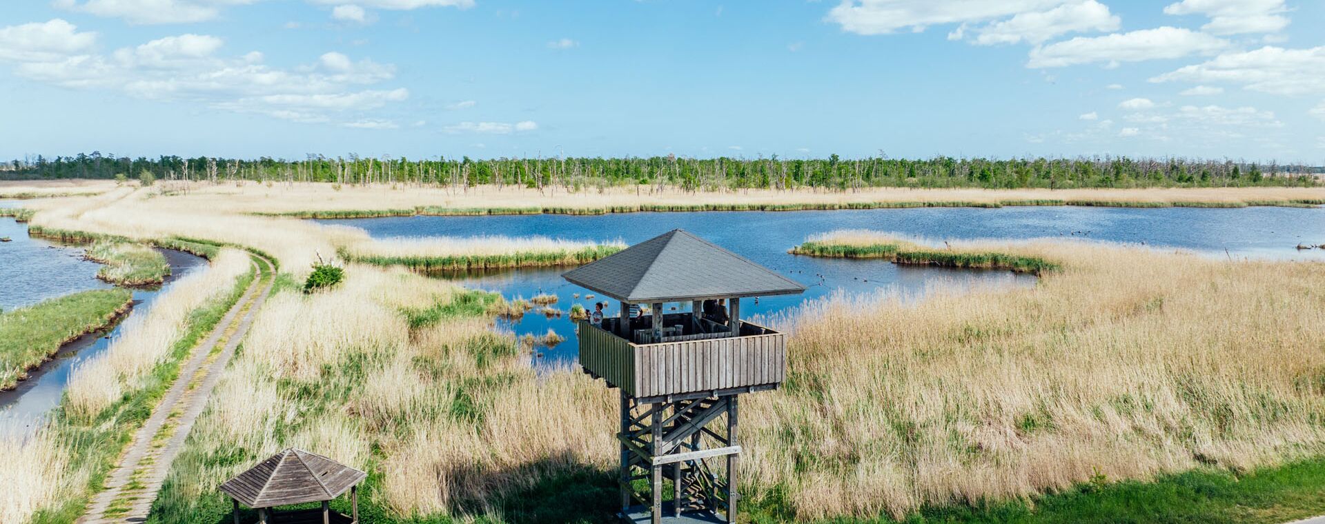 Aussichtsturm in Bugewitz mit Blick auf Wasser