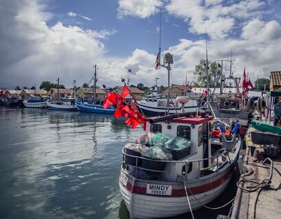 Das Fischerboot "Mindy" und andere Fischerboote im Hafen Freest