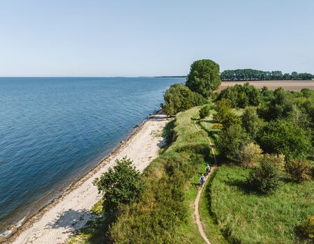 Aufnahme aus der Vogelperspektive. Links Wasser und Strand, mittig ein Pfad, der sich durchs Grüne schlängelt und von zwei Fahrradfahrern befahren wird.