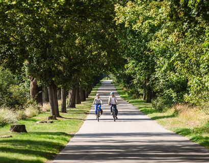 A man and a woman drive along an avenue on her bicycles