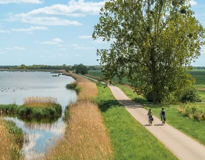 zwei Fahrradfahrer auf einem ausgebauten Fahrradweg. Links von Ihnen ist Wasser und Schilf, rechts steht ein großer Baum und dahinter ist eine Wiese.