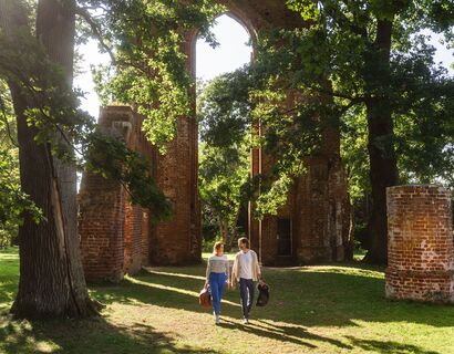 Paar spaziert im Schatten der Bäume. Im Hintergrund sieht man die Klosterruine.