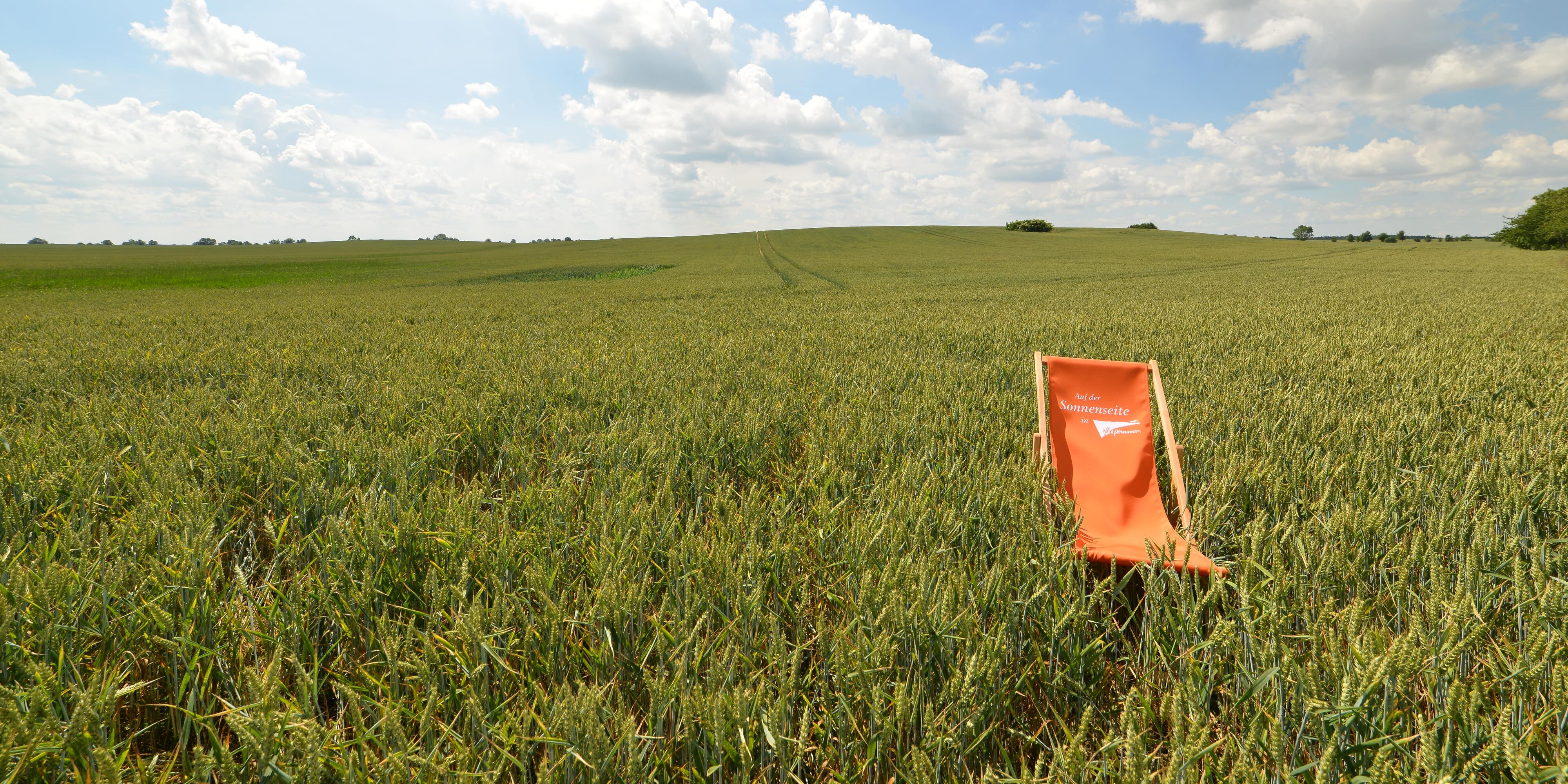 Ein oranger Vorpommern-Liegestuhl steht in einem grünen Feld