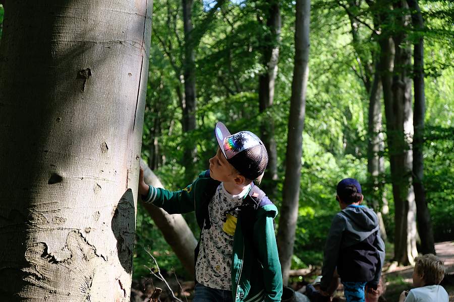 Familien-Sommerspaziergang"Im Reich der Schatten"