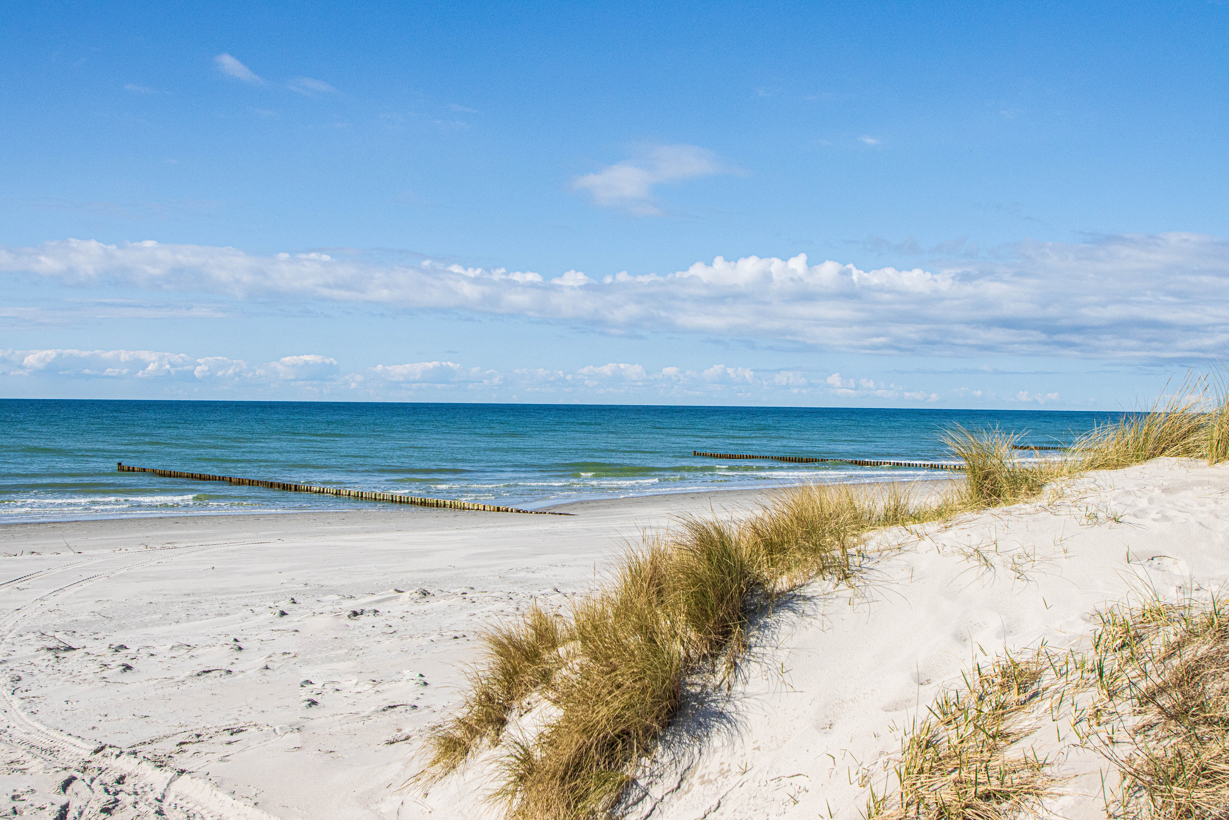 Schiff zur Insel Hiddensee ab Hafen Dranske