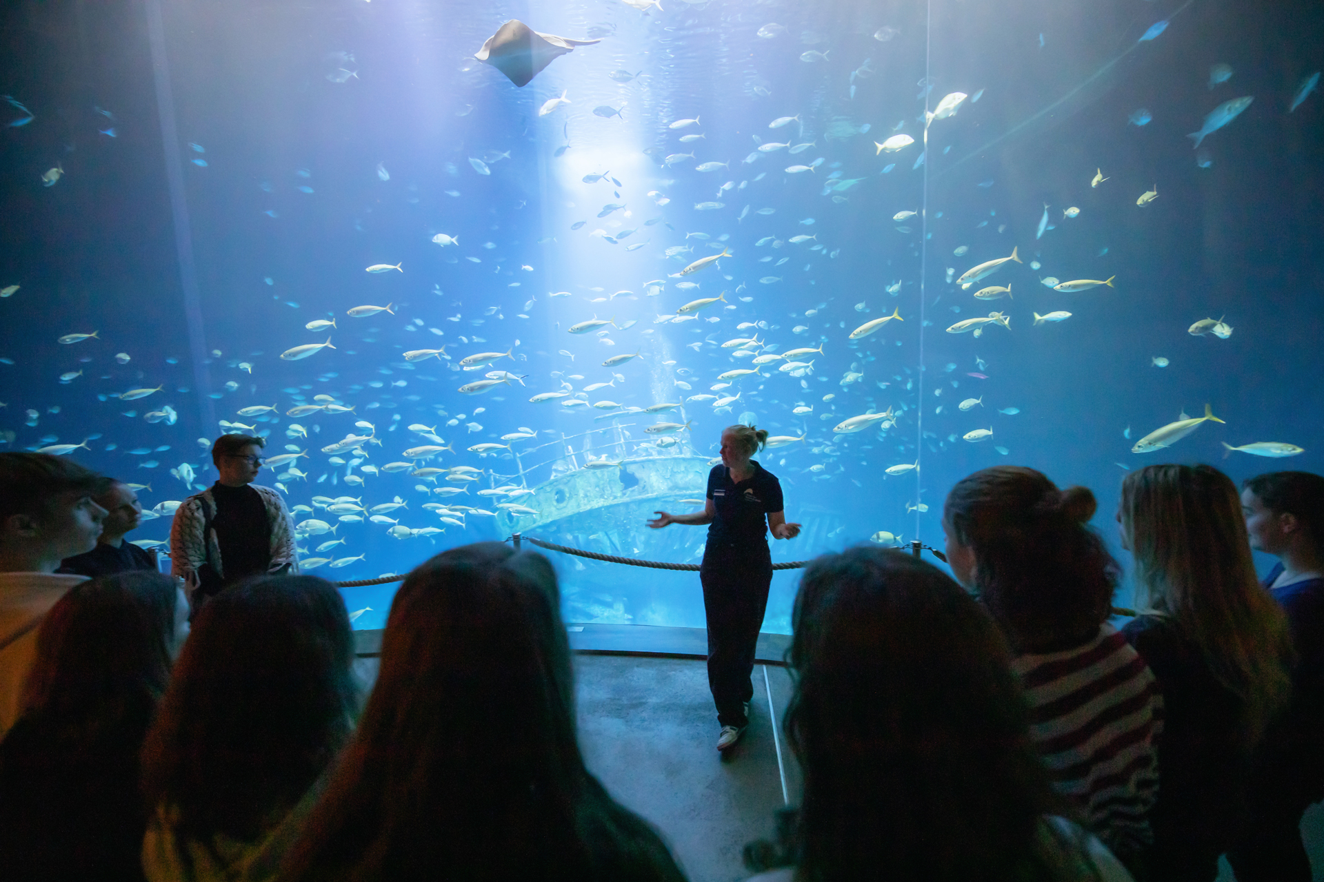 Öffentliche Führung im OZEANEUM