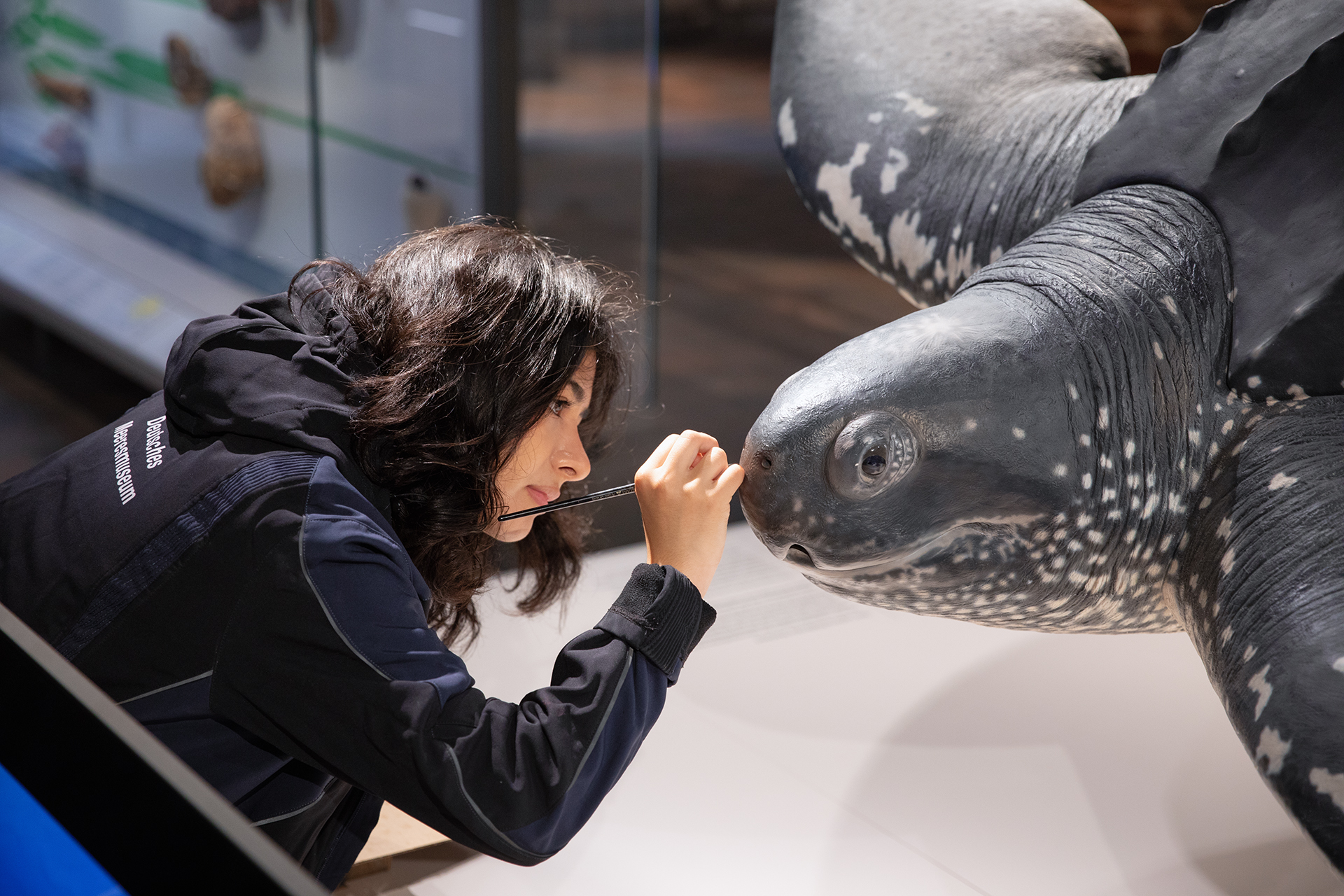 Workshop: „Wie ein Museumstier entsteht“