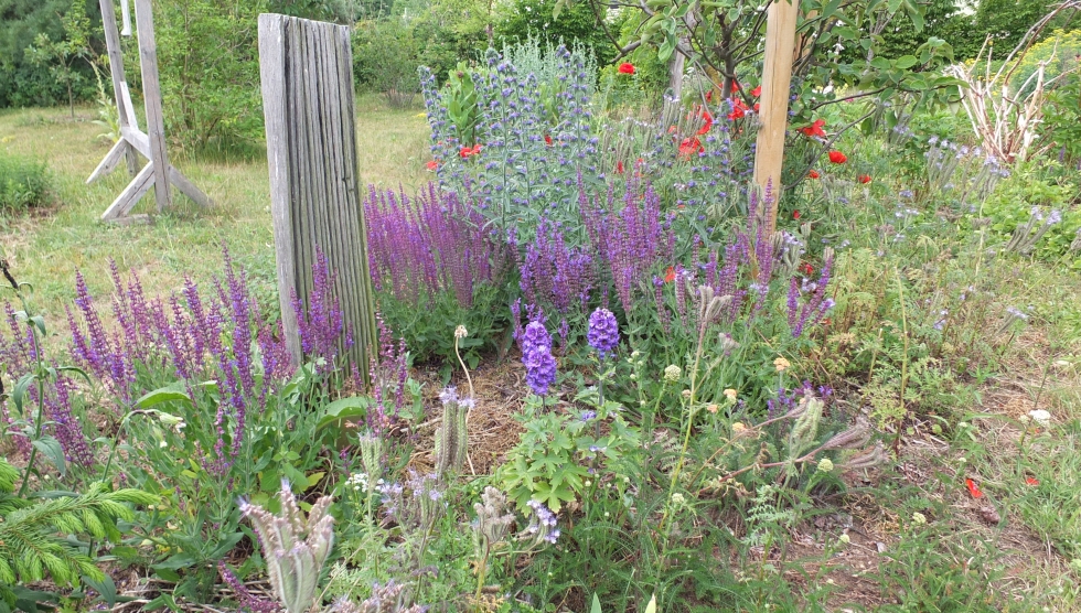 Führungen im Kräutergarten