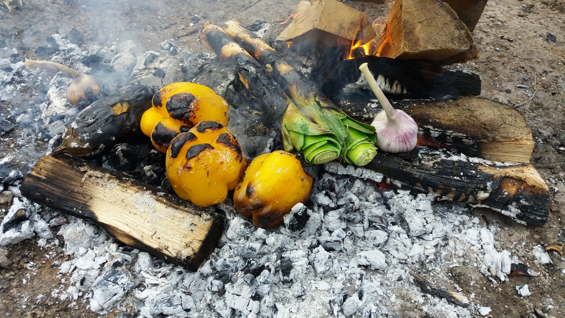 „Wilde Küche“ – Outdoor-Cooking am offenen Feuer