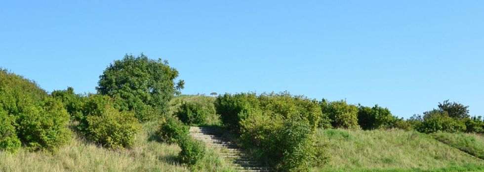 hv Bobbiner Berg von unten